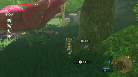 カカリコ村の大妖精の泉の姫しずか