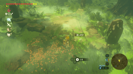 コログの森、デクの木サマの前の姫しずか