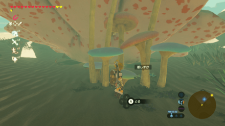 ゲルド砂漠の大妖精の泉の姫しずか