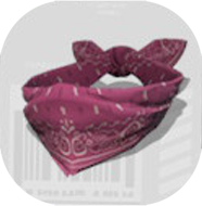 エイズリーバンダナ画像