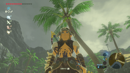 ヤシの実の入手場所