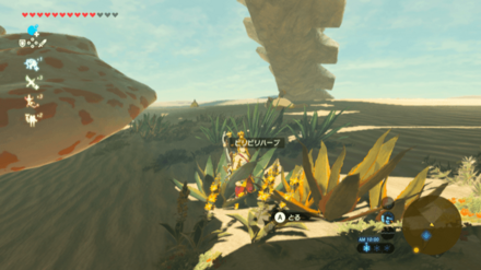 ゲルド地方大妖精の泉のビリビリハーブ