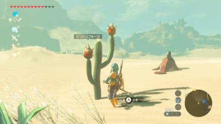 ビリビリフルーツの見た目