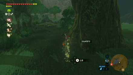 ツルギダケの入手場所