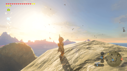 トリ肉の入手場所