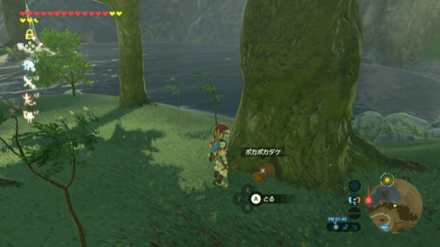 ポカポカダケの入手場所