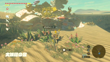 ゲルド地方大妖精の泉のポカポカハーブ