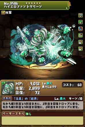 花京院典明装備