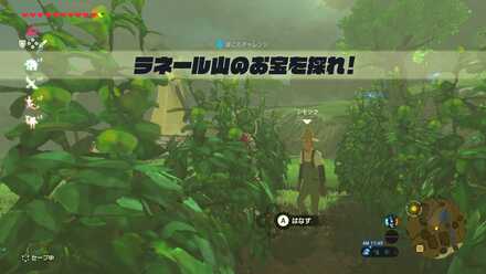 ネルドラのミニチャレンジ