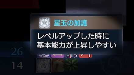 チキの星玉の加護