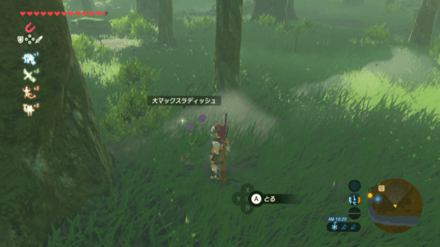 大マックスラディッシュの入手場所