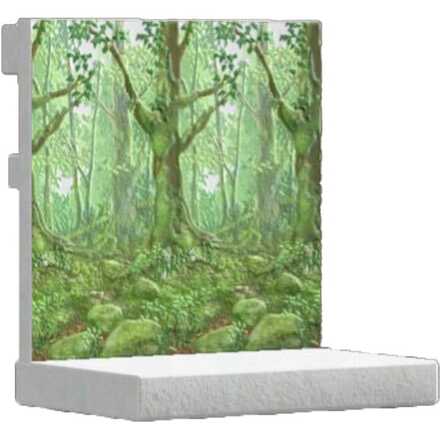 ヒカリゴケのもりのかべ画像