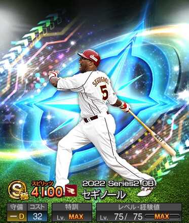 セギノール画像