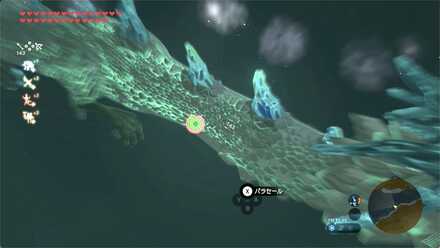 ネルドラの胴体