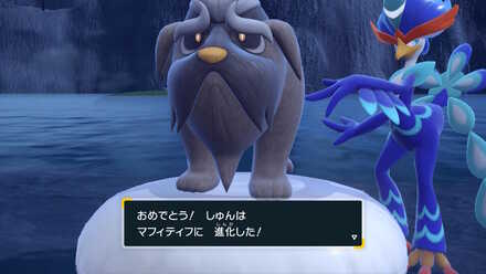 コメント画像