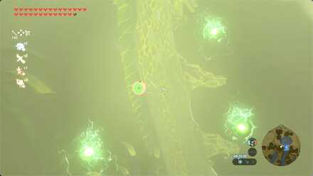 フロドラの胴体