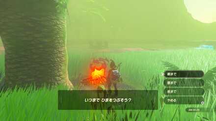 焚き火で朝まで休む