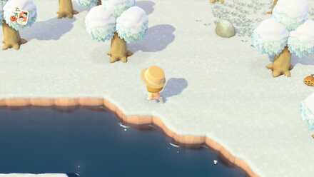 川や海など水辺を探してみる