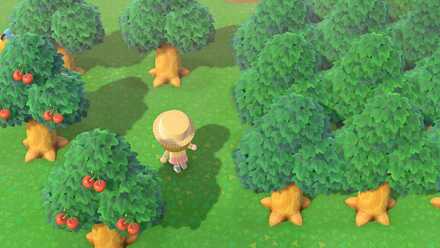 木がたくさん生えた場所を探してみる