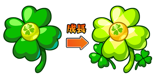 クローバーの画像
