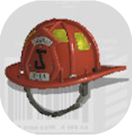 カジカブト画像