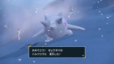 コメント画像