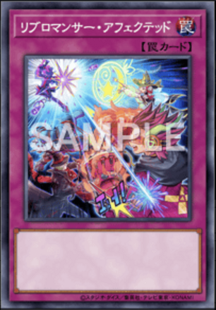 リブロマンサー・アフェクテッド画像