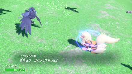 コメント画像
