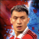 HPリサンドロ・マルティネス(01/09)画像