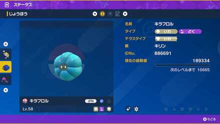 抽選キャンペーン