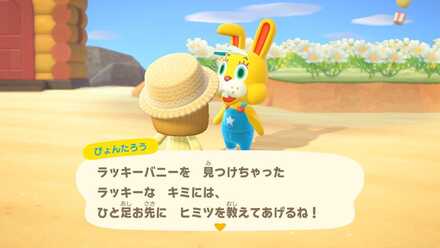 ぴょんたろうの場所