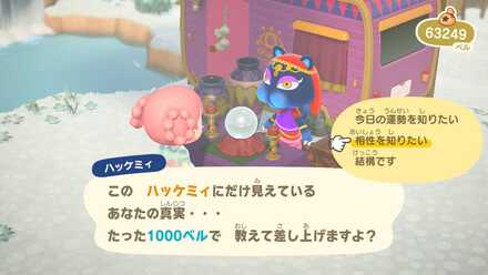ハッケミィの占いで確認する