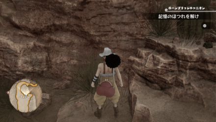 薬草の実際の位置