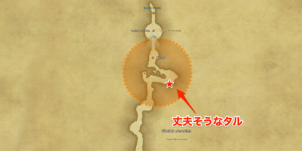 丈夫そうなタル