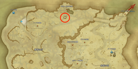 ギガントガル採石場付近にいるケタヌール