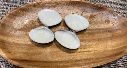 お正月イベントの無人島料理を作ってみよう!