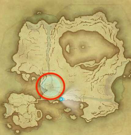 無人島のココナッツの採集場所画像