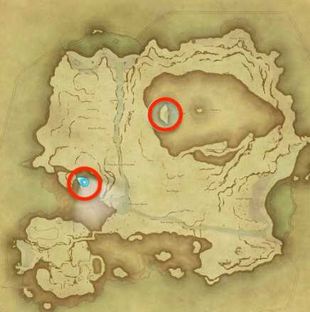 無人島の極彩色の花の採集場所画像