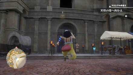 コロシアムの壁にある暴暴鳥の卵