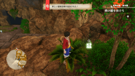 ゾロのキューブの場所