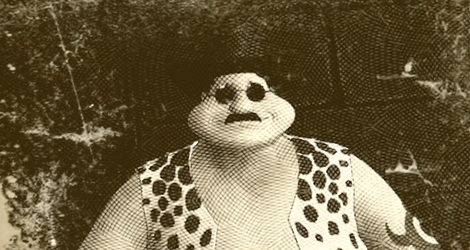 口笛のペイリンの画像