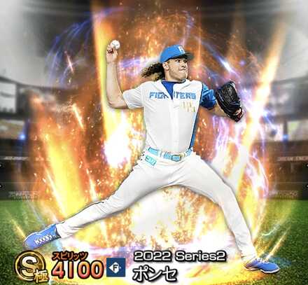 ポンセ(楽天)画像