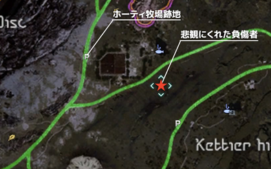 悲嘆に暮れた負傷者の受注場所