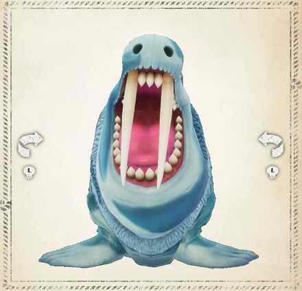 セイウチ・マウンテン