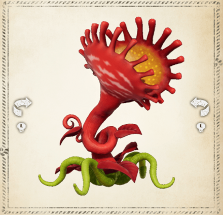 モヤセマンネングサ