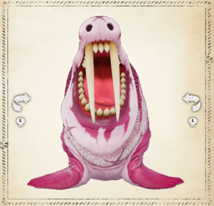 セイウチ・キャプテン