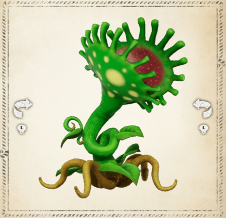 アルケマンネングサ