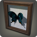 バタフライスペシメン