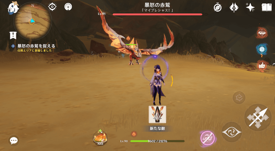 赤鷲と戦闘を行う