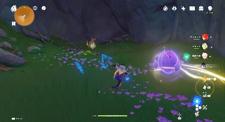 蕾を追いかける